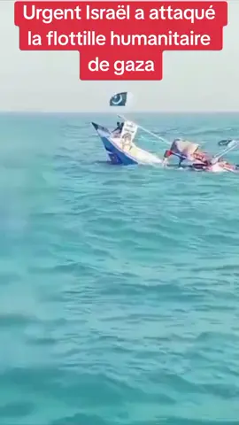 Aide humanitaire gaza Palestine #israel #gaza #flotilla en direction de gaza a été intercepté par l'armée israélienne #espagne #france 