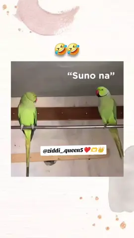 universe problem 😭🤣🫣🙈❤️😁🫀#repostrequset🙏 #pasndidamrd😘 #taglongdistencerelationship❤ #tagyourpasndidaaurat❤️🥺🙈🤣 #unfreezemyacount 