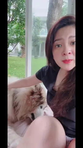 Quality time with LEXY 🐺🥰❤️ foll ig @lexygrayson #lexygrayson #dogsoftiktok #dog 