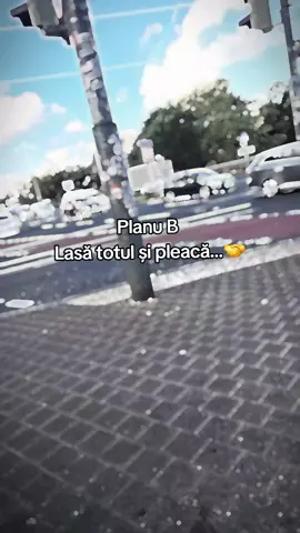 #b #plan #germania🇩🇪🇷🇴 #leopardgeckosoftiktok #fyy 
