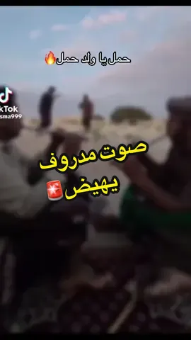 حمل يا ولد#حضرموت #وادي_عمد #بن_ماضي #شبوة #النوحي712 