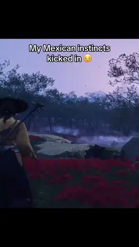 Was messing with the dual katanas and decided to mow the grass ✌️ #ghostofyotei #ghostofyoteigameplay #atsughostofyotei #brkenisshort 