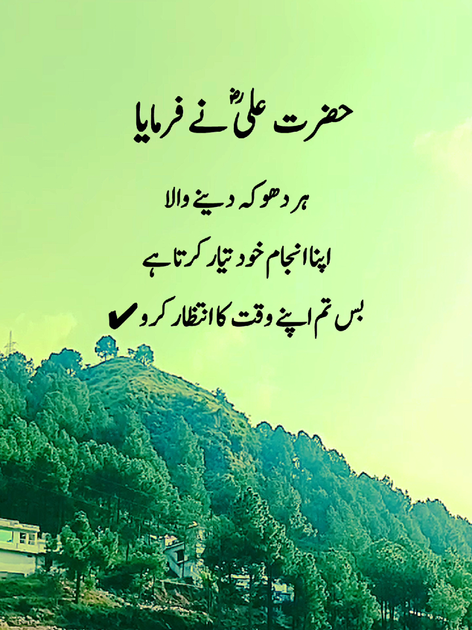 Part 95 Hazrat Ali said: Every cheater Creates its own destiny Just wait for your time. #creatorsearchinsights #Asim_Khan_Writs #naseeb_bhai_edit #1stvideo #hazrataliquotes 1st video please viral My dreem 777777 folwers Urdu Poetry Sad poetry Emotional words Naseeb Asim naseebasim بریکنگ نیوز hazrat ali naseeb bhai naseeb sad poetry asimkhanwrites hazart ali status
