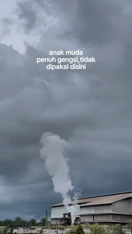 infoo cuaca ini hari  #kulipabrik  #pabrikkelapasawit  #musirawassumsel 