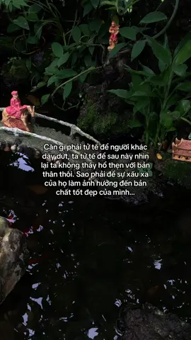 …#tamtrang #story 