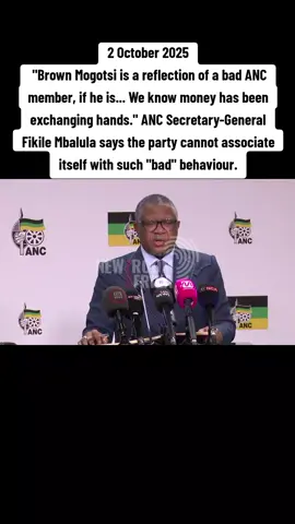 #tiktoknews #corruption #fraud #politics #madlangacommissionofinquiry 