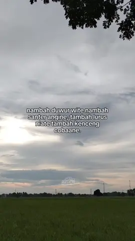 Nambah duwur wite nambah santer angine, tambah lurus niate tambah kenceng cobaane. #tarling_indramayu_cirebon #katakataindramayu🏴‍☠️ #indramayupride🏴‍☠️ #indramayu_taiwan_🇮🇩🇹🇼 #indramayuviral 