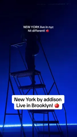 ADDISON FORKING RAE. #addison #newyork #fyp #concert 