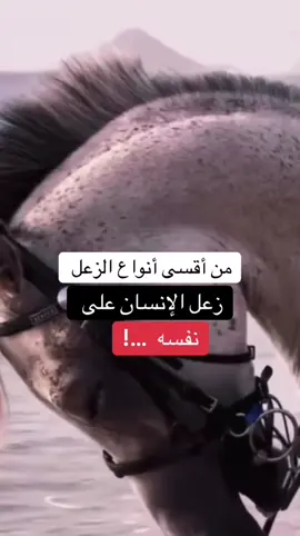#اقتباسات_عبارات_خواطر🖤🦋❤️ #عبارات_جميلة_وقويه😉 #عبارات_حزينه💔ذكـ҉ৡـريــا༊ت🥀 #fentysuperbrandday #LanguageLearning 