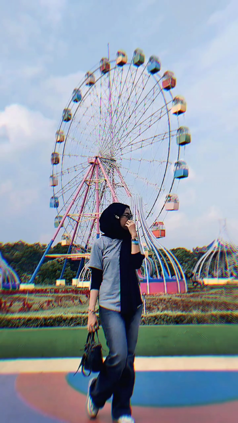 🎡
