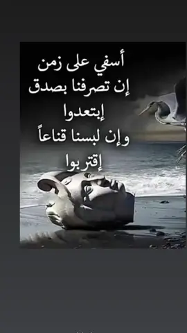 #في هذا اليوم 