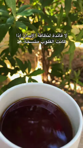 لا فائدة 🩵🦢