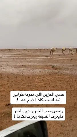 #شعراء_وذواقين_الشعر_الشعبي 