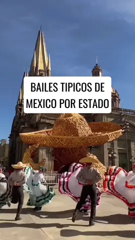Bailes típicos de México por estado😨 #viral #tendencia #jarabetapatio #flordepiña #BailedelaIguana  