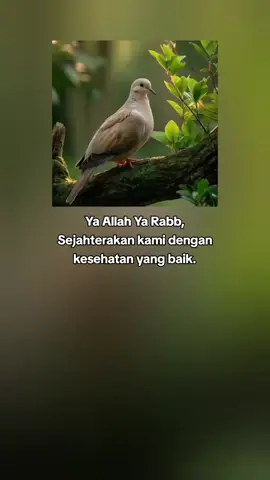 #assalamualaikum🙏 #fypシ゚ #fypviralシ #katakata 