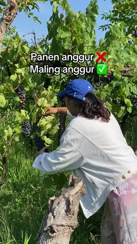 🤣🤣🤣🤣 @suryanitti @ErnA 