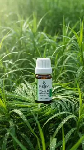Aroma segar dengan sentuhan citrus yang khas, bantu usir nyamuk secara alami sekaligus ciptakan suasana rileks dan fresh di ruanganmu 🌿🍋#citronella #oil #briesensofficial #fyp 