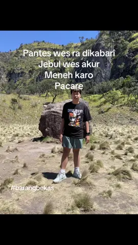 Info ngamook ng pom mini