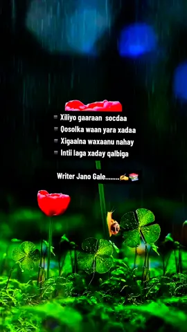 .........💀☠️#foryou #01 #for #foryoupage #@JaNo GaLe 