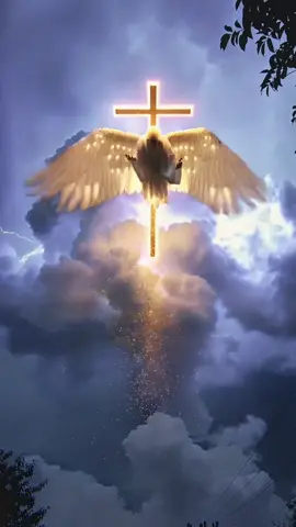 Is This Proof That Angels Are Real? #angel #god #jesus #bible #seraphim 