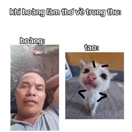 hết cứu#abcxyz #xuhuongtiktokk #xhhhhhhhhhhhhhhhhhhhhhhh 