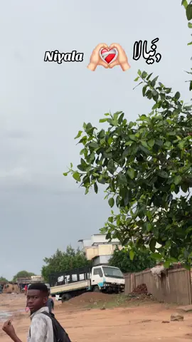 نيالا الجمال