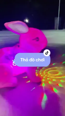 Đồ chơi thỏ nhảy múa có nhạc có đèn cho bé nè #dochoichobe #thodochoi #dochoitreem #dochoitrungthu #xuhuong  @VÂN HÀ REVIEW  @VÂN HÀ REVIEW  @VÂN HÀ REVIEW 