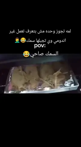 لمه تجوز وحده مش بتعرف تعمل غير اندومي😂🤦‍♂️#مشاهير_تيك_توك #تيم_أيكونز #مستر_حدوته #هشتاج #حدوته 