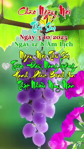 #chaongaymoi #ngaymoivuive  @Thotran1953 