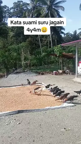 Jagain 4y4m di suru suami😆🤣 #fyp #jangkauanluas #kontenlucu #lucu #semuaorang 