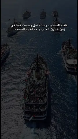 never stop talking about gaza , from the river to the sea palestine will always be free. 🍉🇵🇸#قافلة_الصمود_لكسر_الحصار_على_غزة #غزة  #gaza #fyp #palestine 