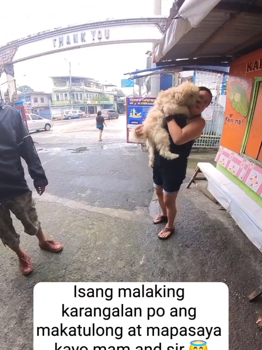 The climax scene where Cooper meets the lost dog and his fur mom 😍🐕 #fyp  #lostdog  #furmom  #scoutsweeper 