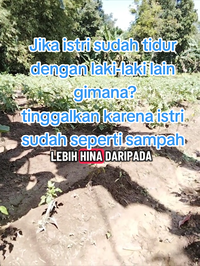 jika istri sudah tidur dengan laki-laki lain tinggalkan . #istriselingkuh #selingkuh #hargadiri #fyppppppppppppppppppppppp #semuaorang 