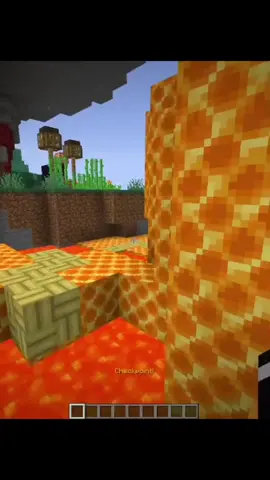 What topics should I yap about??? #minecraftfypシ #mimecraftparkour #femboy #femboytiktok #yapsession 