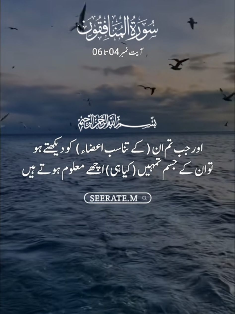 Quran kareem with translation 😍  surat ul munafiqon ayat no 04 to 06 #quran #hadees #islam #seerate_m #viral 