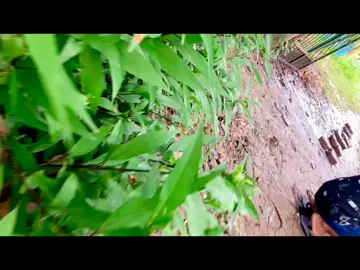 বিবাহ অনুষ্ঠানে ❤️🥰