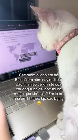 Các mom cho e lời khuyên với ạ #meo #mebimsua 