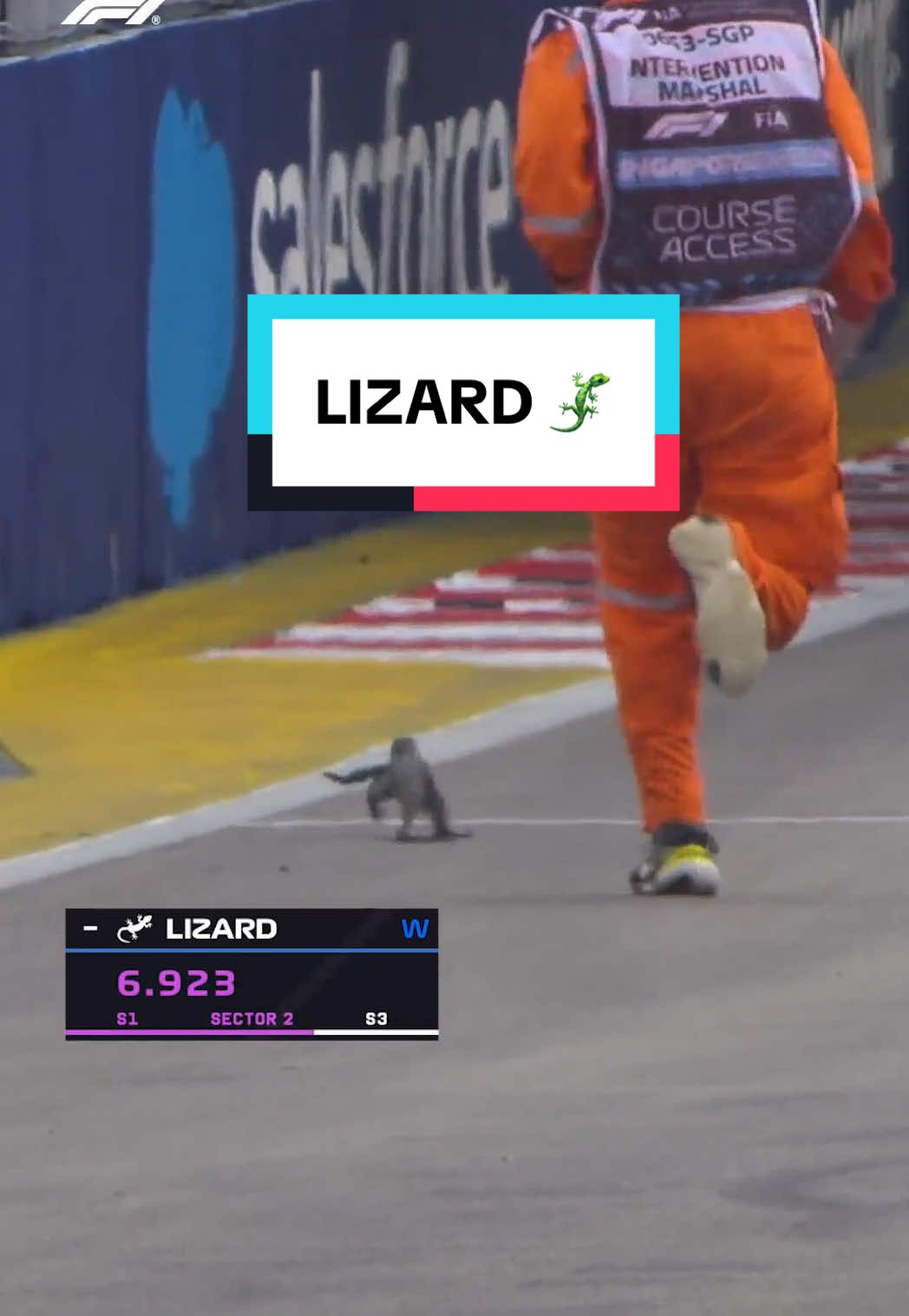 singapore lizard you’ll always be famous 🫶🏻 #f1 #singaporegp #singapore #animals 