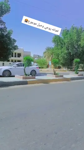 #لايك #متابعه حبايب كلبي احبكم 😘😘
