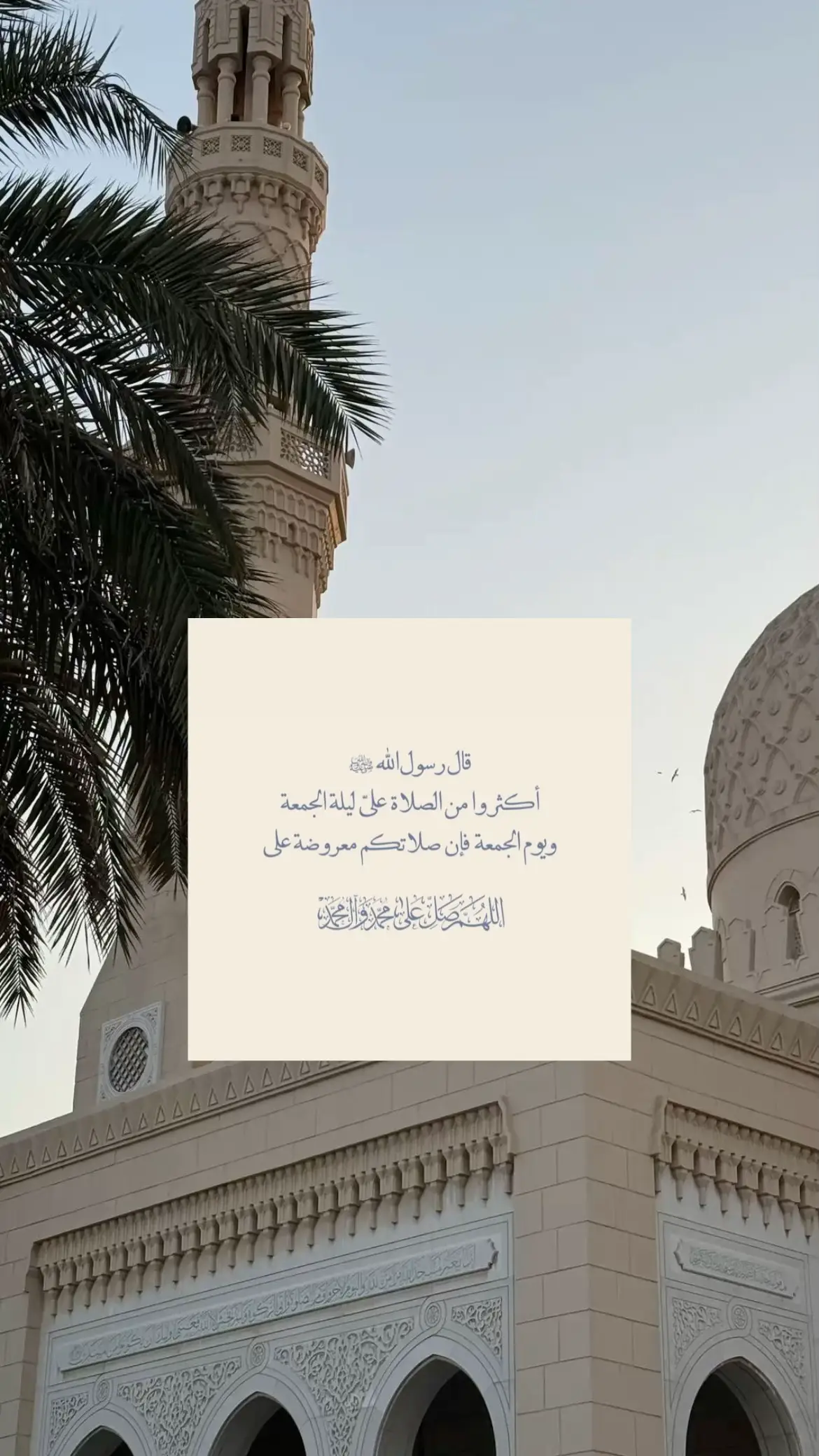 اللهُمَّ صَل وسلم وبارِك علَى نبينَا محمد ﷺ #فذكر_فإن_الذكرى_تنفع_المؤمنين #ليلة_الجمعه_اكثرو_من_الصلاة_على_النبي💕 #الجمعه_الصلاة_على_النبي_سورة_الكهف🌱 #اللهم_صلي_على_نبينا_محمد #الله_يكتب_لنا_ولكم_الاجر 
