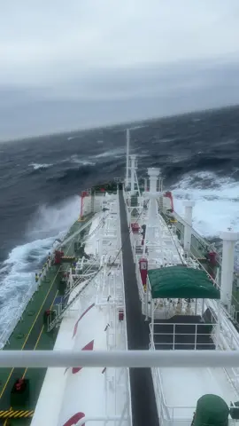 #seaman #seamanlife Noth Sea Fleet 🌊 