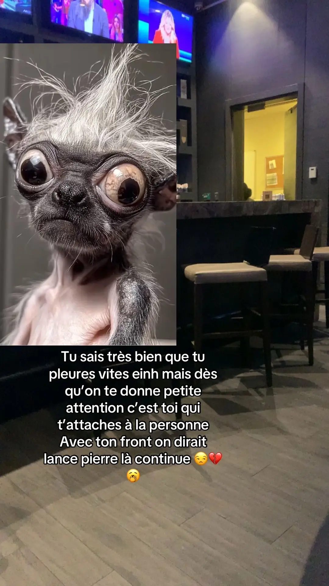#debloquemesvue🥲 #ivoirien🇨🇮 #senegalaise_tik_tok🇸🇳pourtoichallenge @𝐊𝐚𝐝𝐢𝐝𝐢𝐚𝐚𝐚💕 @•𝑀𝐴𝑀𝐼 🧜🏽‍♀️ᥫ᭡ @~F💕🧚🦋 @~{/k🫶/}~ @🎀FãTmAaa🎀🧸 