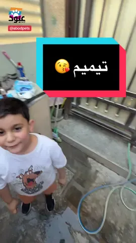 اليوم يمنه تميم  #كلاب #عبودpets #هاسكي #كلاب_شرسة 