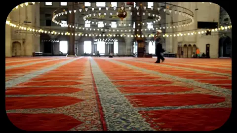 #الله #محمدصلى_الله_عليه_وسلم #الشيخ_سمير_مصطفي #CapCut 