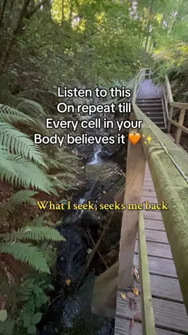 ✨ Rewire your reality one thought at a time. Breathe in trust, breathe out doubt. Play this daily until abundance feels like the only language your soul speaks. 🌙💫 #mindset #manifestyourdreams #manifestationmagic #abundanceflow #spiritualawakening