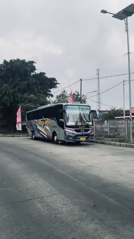 W 7553 UP Pesona Kota Gadiz X Boss Menik@Galih racing team @###### #sumbergroup #sugengrahayu #sumberselamat #busjawatimuran #fyp 