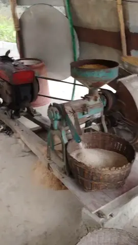 Mesin Penggiling Padi Mini