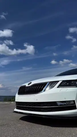 #skodaoctaviars#skodaoctavia#octavia#skoda 