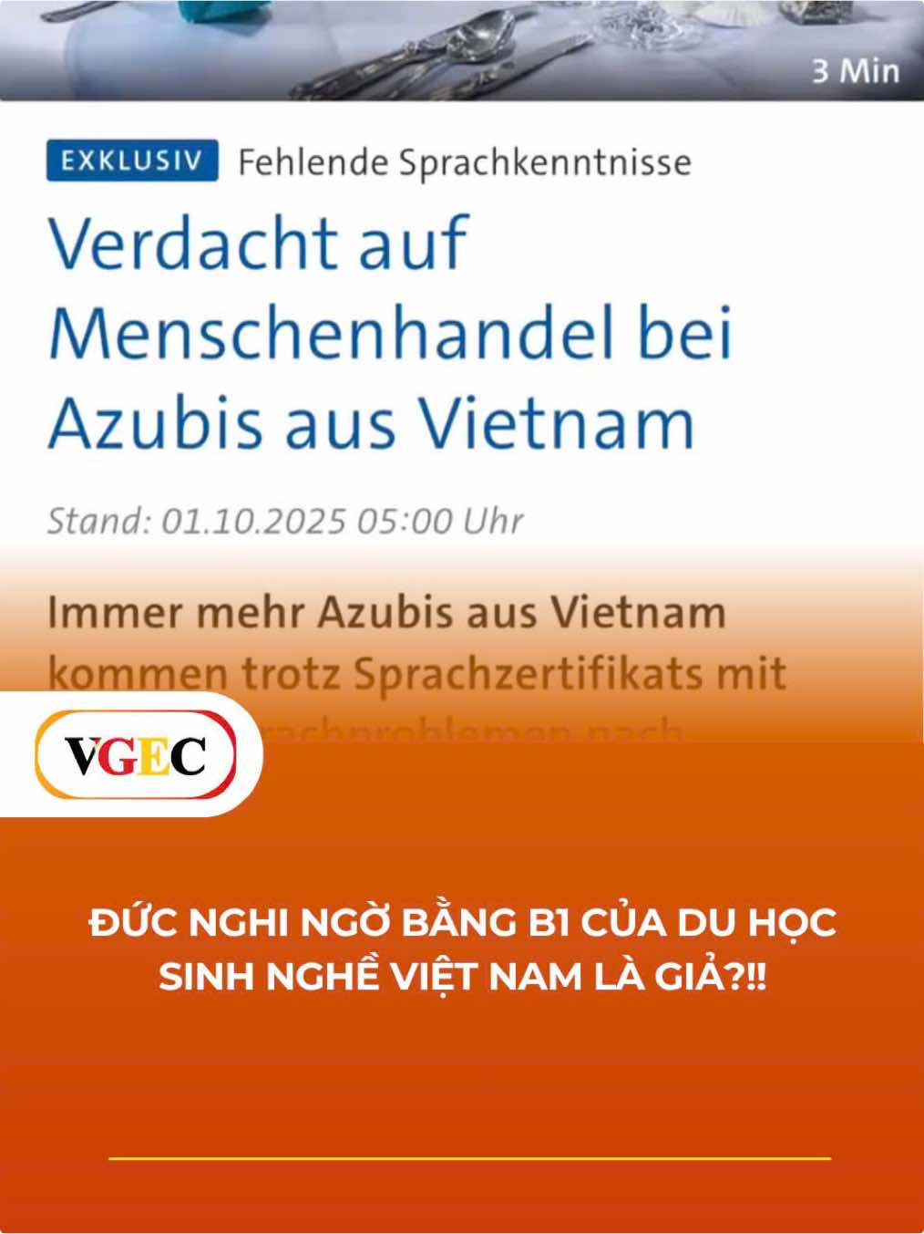 Tại sao học tiếng Đức tốt là điều QUAN TRỌNG NHẤT?!! Cảnh báo tình trạng học viên không thể giao tiếp khi du học nghề Đức #vgec #duhocngheduc🇩🇪🇩🇪🇩🇪🇩🇪 #hoctiengduc #deutschland #germany 