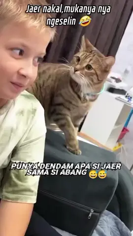 punya dendam apa sih jaer sama si Abang  #catlovers 